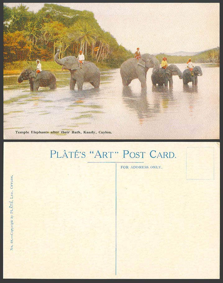 Ceylon Old Color Postcard Temple Elephant after Their Bath Kandy Lake Plates ART