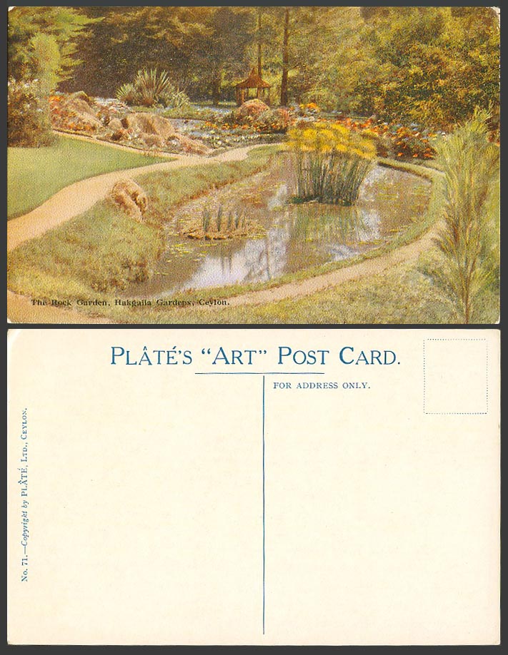 Ceylon Old Colour Postcard The Rock Garden Hakgala Hakgalla Gardens, Plate's ART