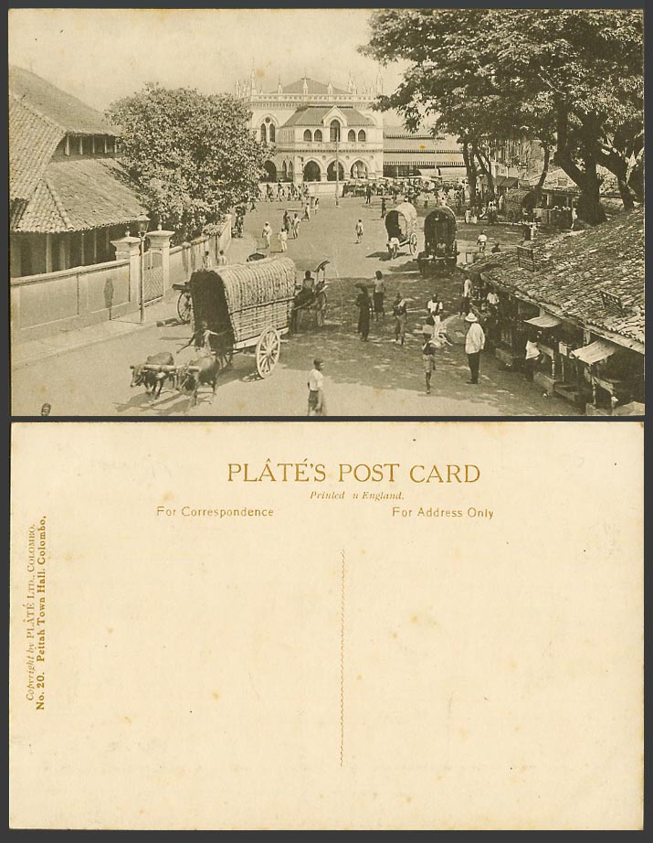Ceylon Old Postcard Pettah Town Hall, Street Scene, Colombo Double Bullock Carts