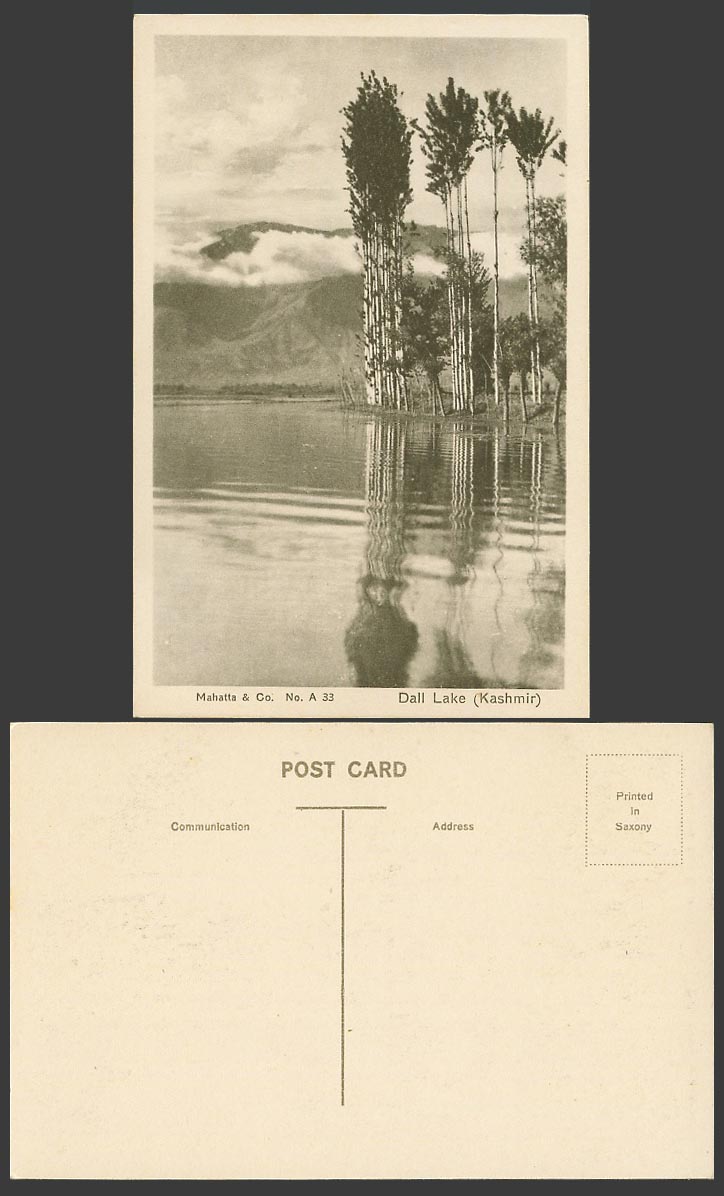 India Old Postcard Kashmir DALL LAKE Trees Reflection Srinagar Mahatta & Co. A33