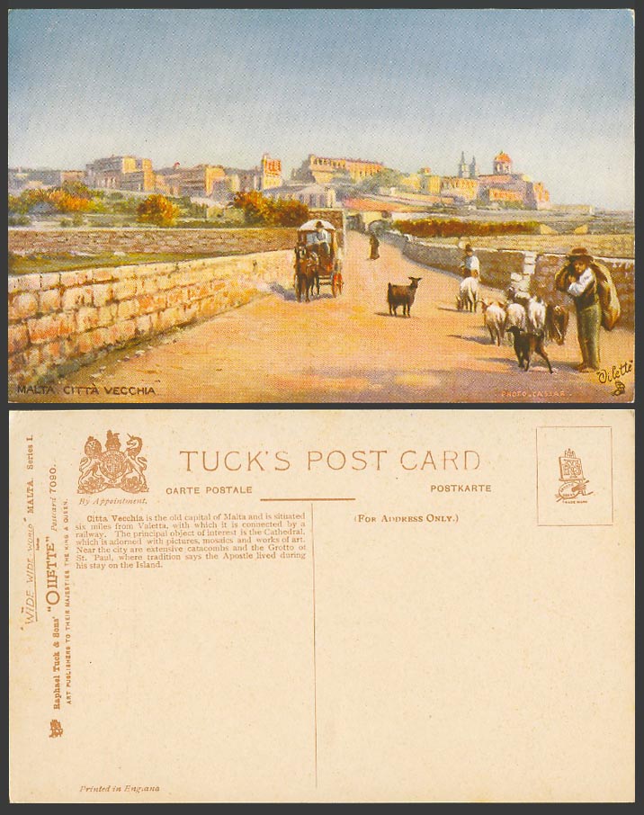 Malta Vintage Tuck's Oilette Postcard Citta Vecchia, Goats, Maltese Old Capital