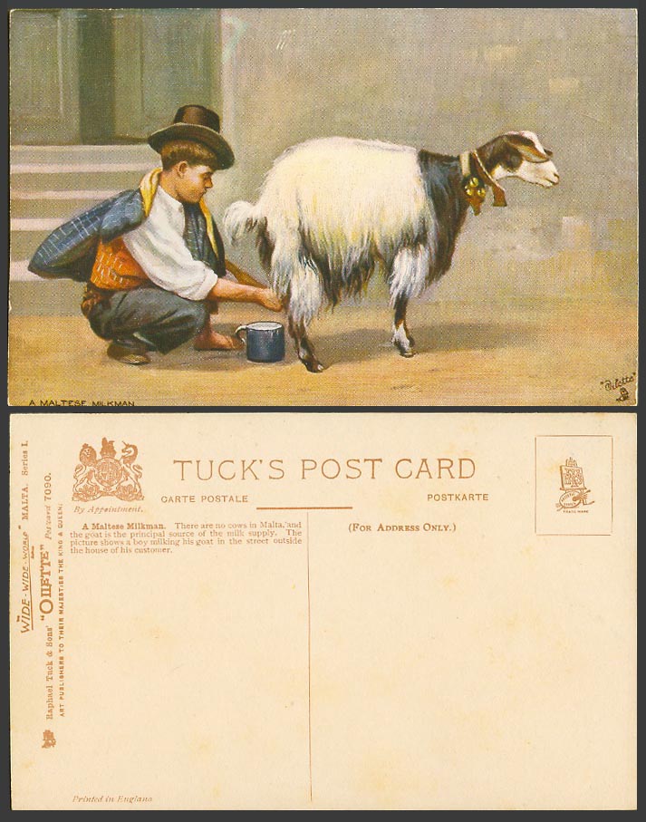 Malta Tuck's Oilette Old Postcard A Maltese Milkman Boy Milking Goat Goat's Milk