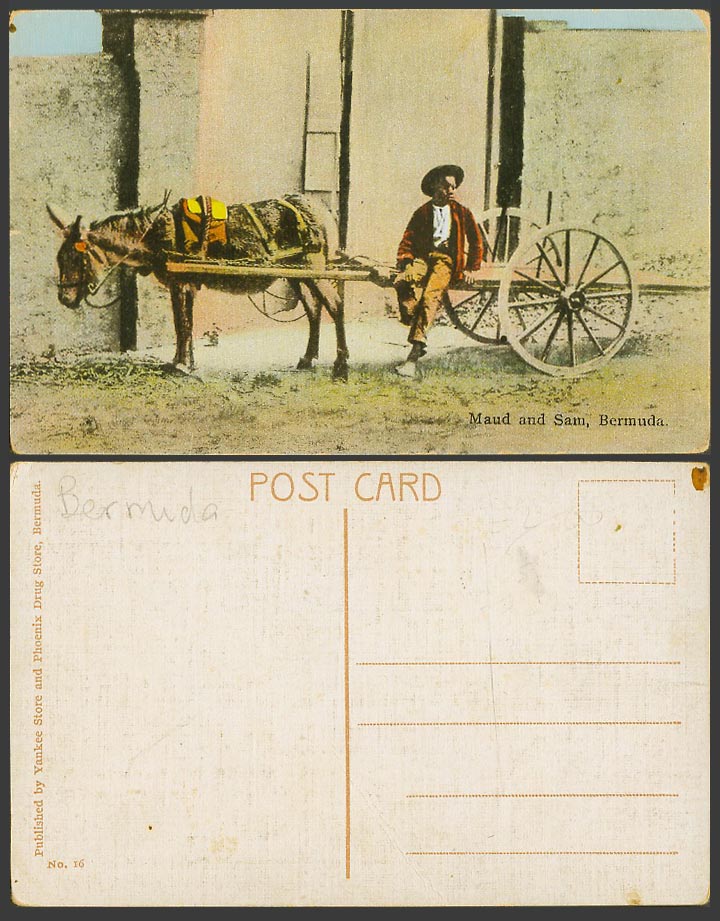 Bermuda Old Colour Postcard Maud and Sam Donkey Cart Native Black Little Boy 16.