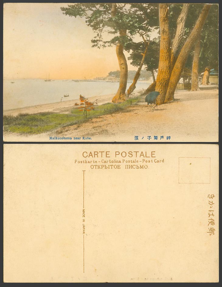 Japan Old Hand Tinted Postcard Maikonohama near Kobe, Pine Trees Panorama 神戶 舞子濱