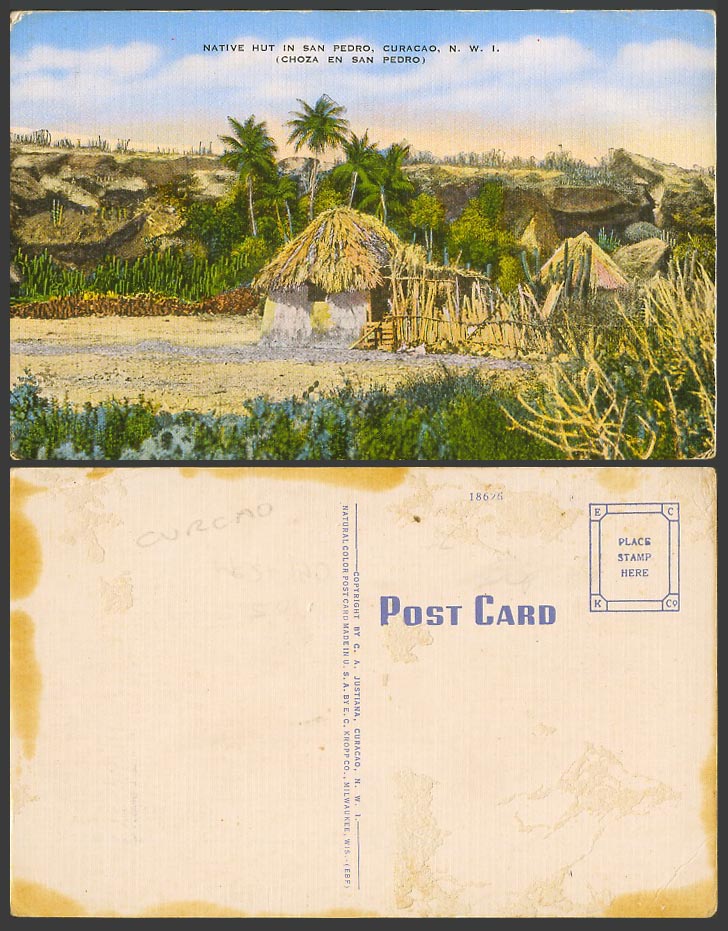 Curacao Old Postcard Native Hut House in San Pedro Choza en San Pedro Palm Trees