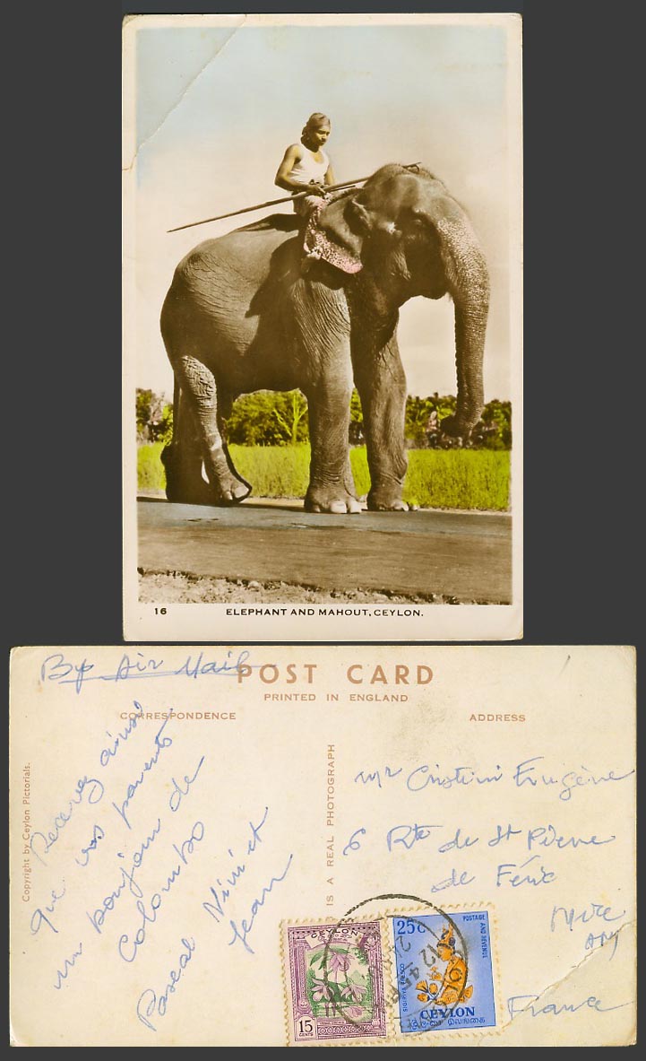 Ceylon 15c Vsak Orchid 25c Sigiriya Fresco 1950 Old Postcard Elephant and Mahout