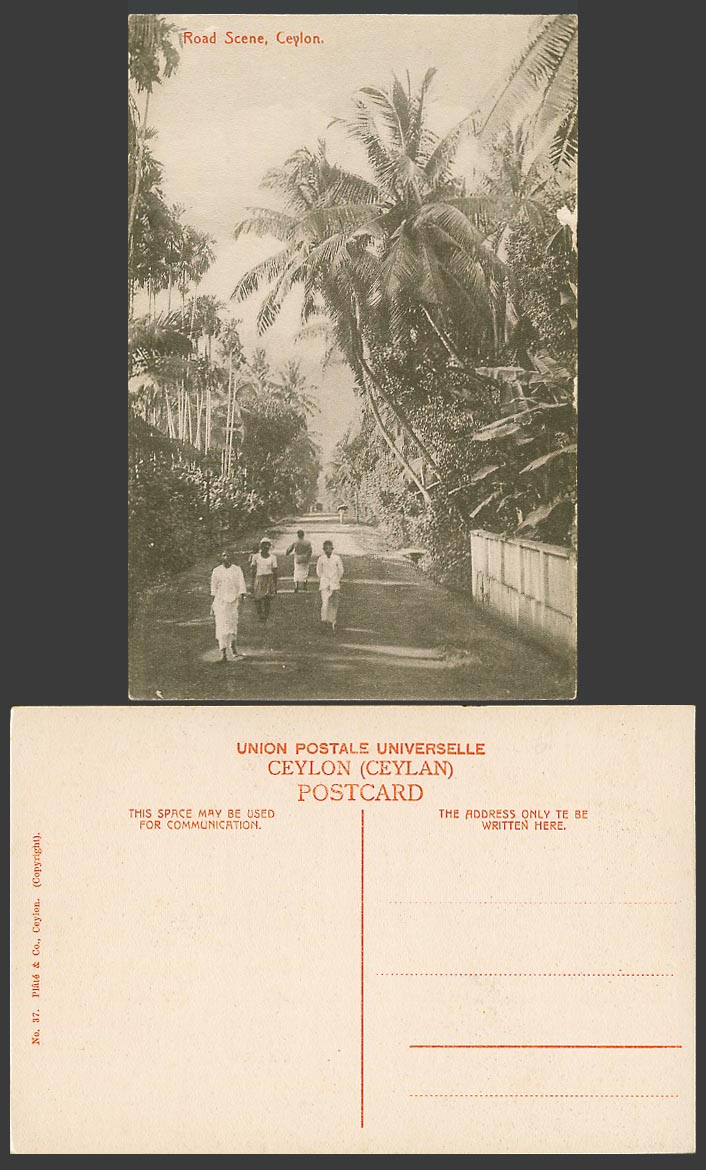 Ceylon Old Postcard Road Scene Native Street Scene Palm Trees Natives Group N.37