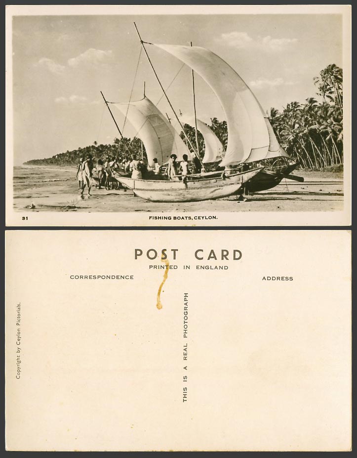 Ceylon Old Real Photo Postcard Native Fishing Boats Beach Palm Trees Colombo 31.