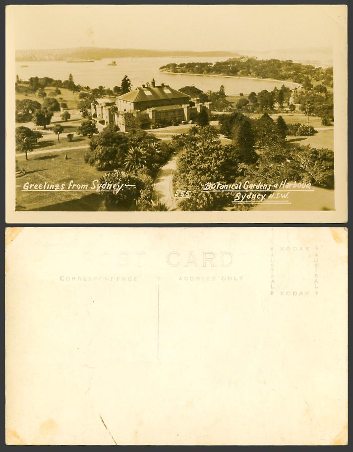 Australia, Sydney Botanical Gardens & Harbour N.S.W. Old Real Photo Postcard 555