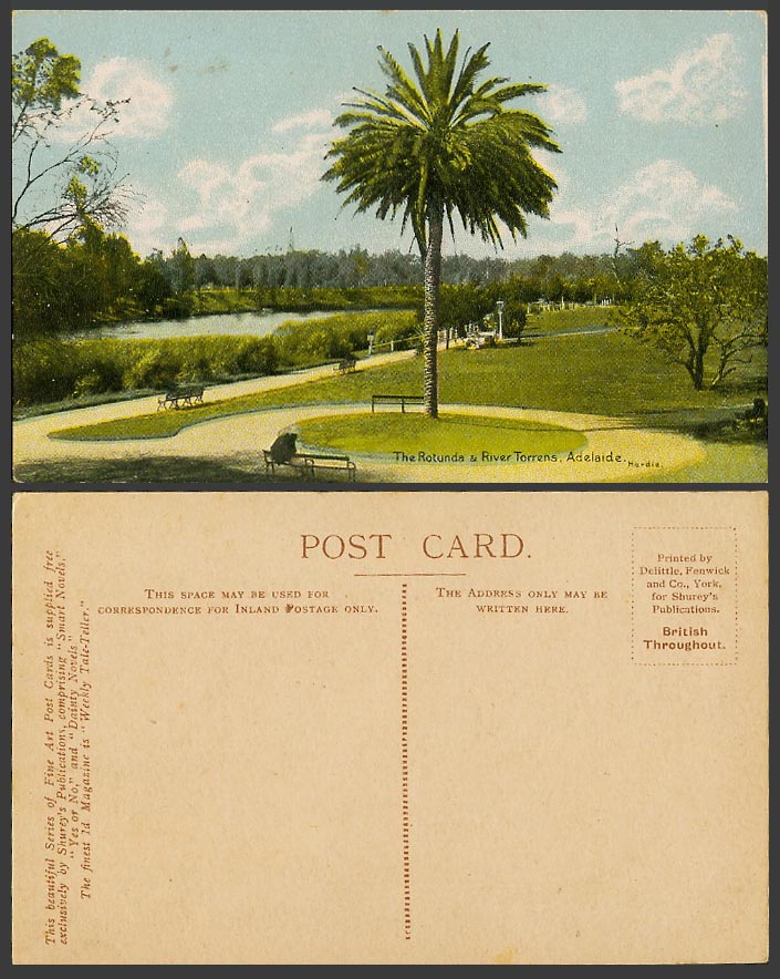 Australia Adelaide Old Colour Postcard The Rotunda and River Torrens - Palm Tree