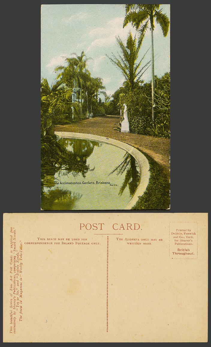 Australia Old Colour Postcard Acclimatization Gardens, Brisbane, Palm Trees Pond