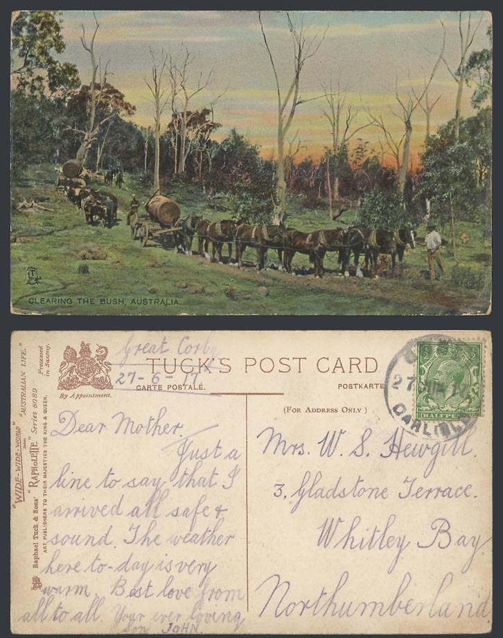 Australia 1917 Old Tuck's Postcard Clearing the Bush Horses Cart Australian Life