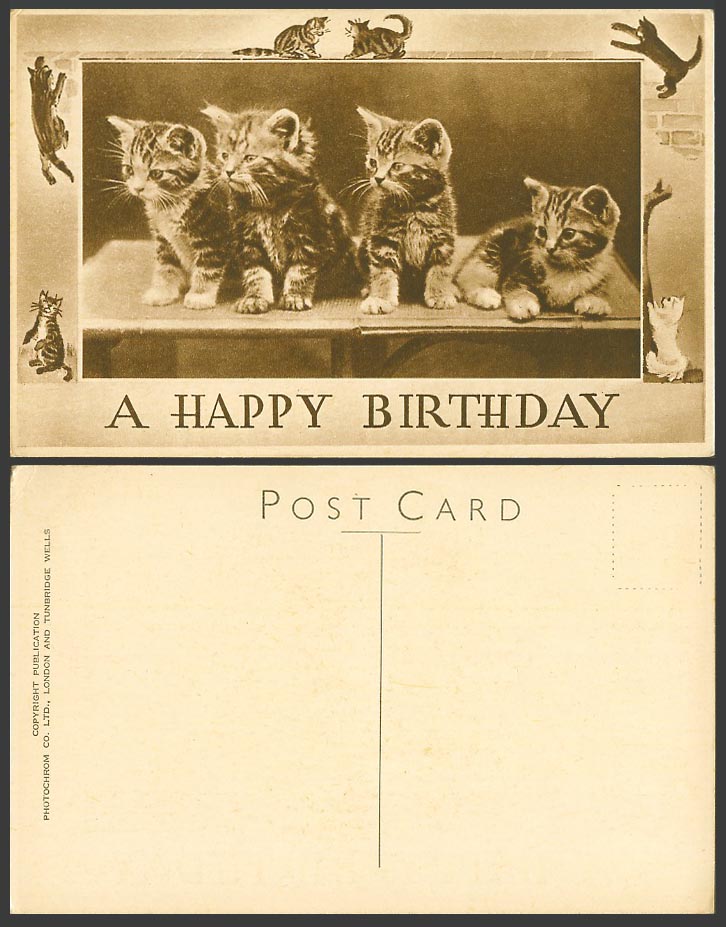 Cats Kittens, A Happy Birthday Artist Drawn Old Postcard Cat Kitten Pets Animals