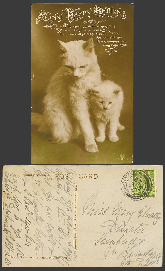 Cats Kittens Cat Kitten Many Happy Returns 1915 Old Real Photo Greeting Postcard