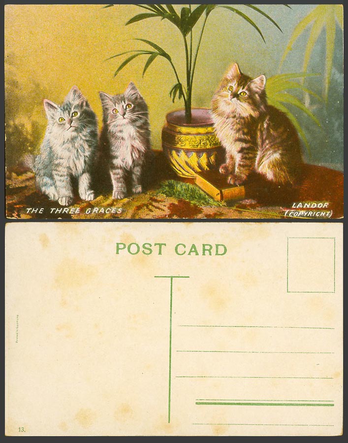 The 3 Three Graces, Kittens Cats Animals, Cat Kitten Landor Old Colour Postcard