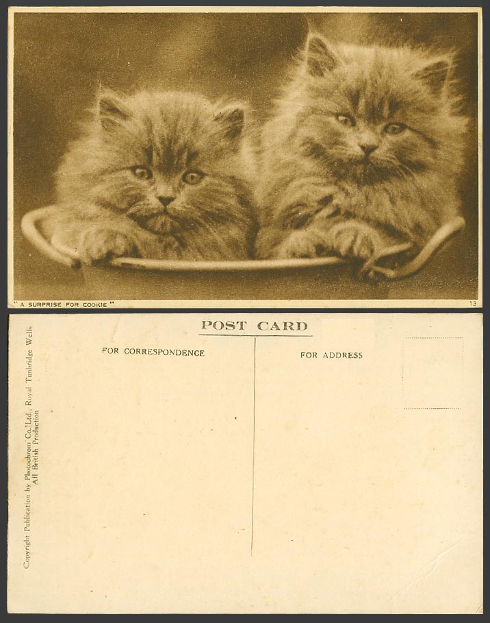 2 Small Kittens Cats, A Surprise for Cookie Pets Animals Cat Kitten Old Postcard