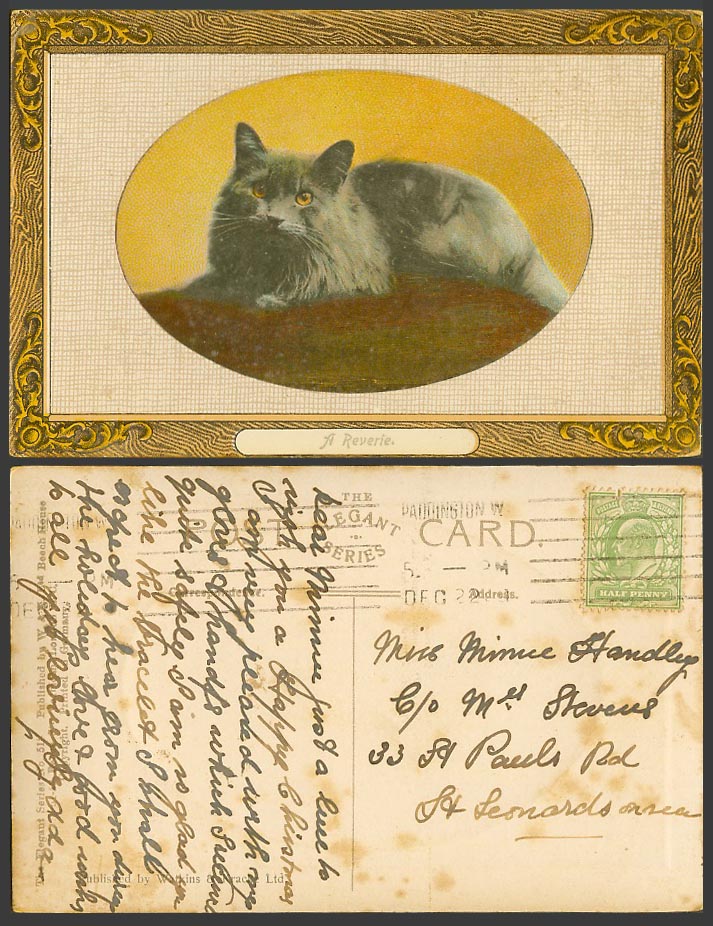 Black Cat Kitten, A Reverie 1908 Old Embossed Postcard The Elegant Series W & K.