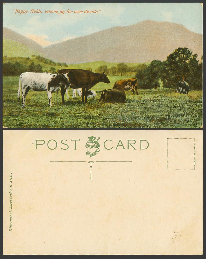 Cow Cattle Animals, Happy Fields, Where Joy for Every Dwells Old Colour Postcard