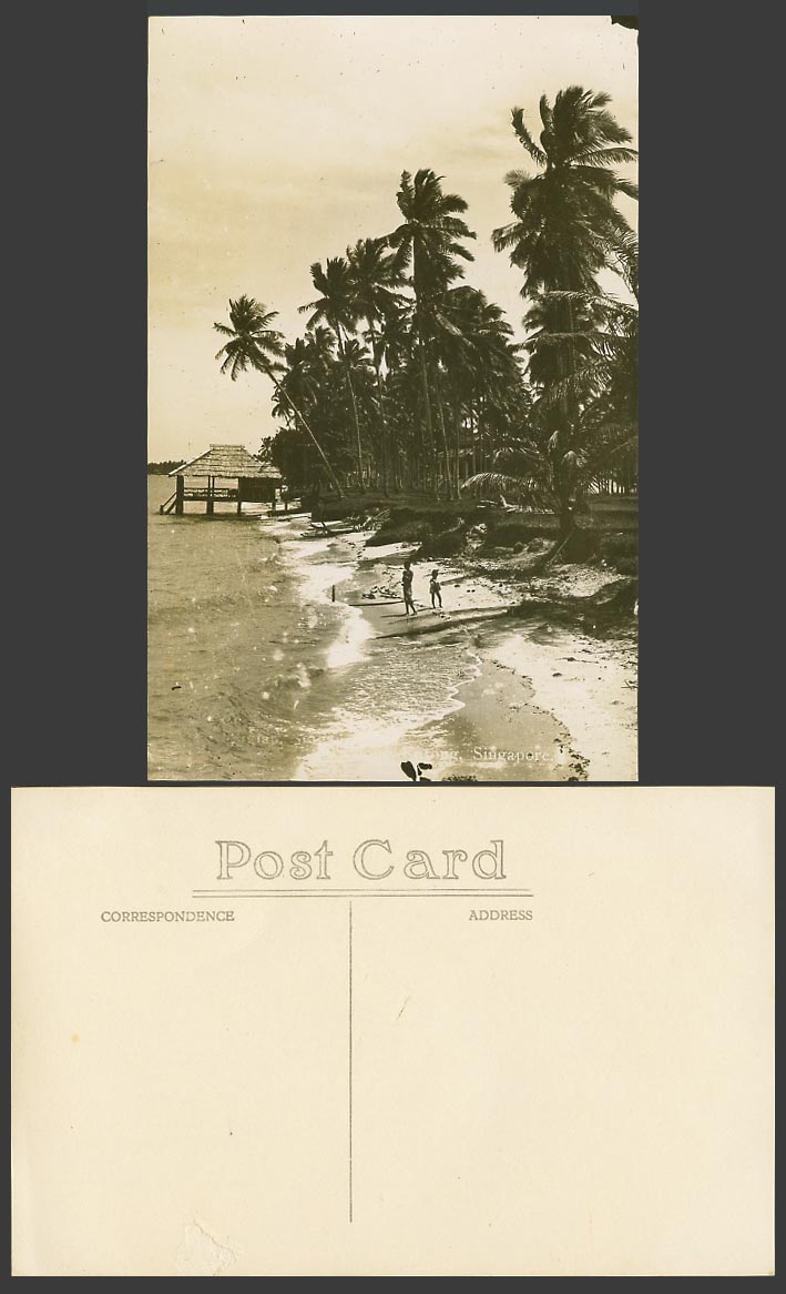 Singapore Old Real Photo Postcard Tanjong Katong, Beach, Palm Trees Hut Panorama