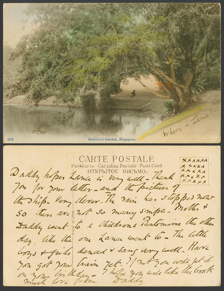 Singapore Old Hand Tinted Postcard Botanical Garden Botanic Gardens Lake & Trees