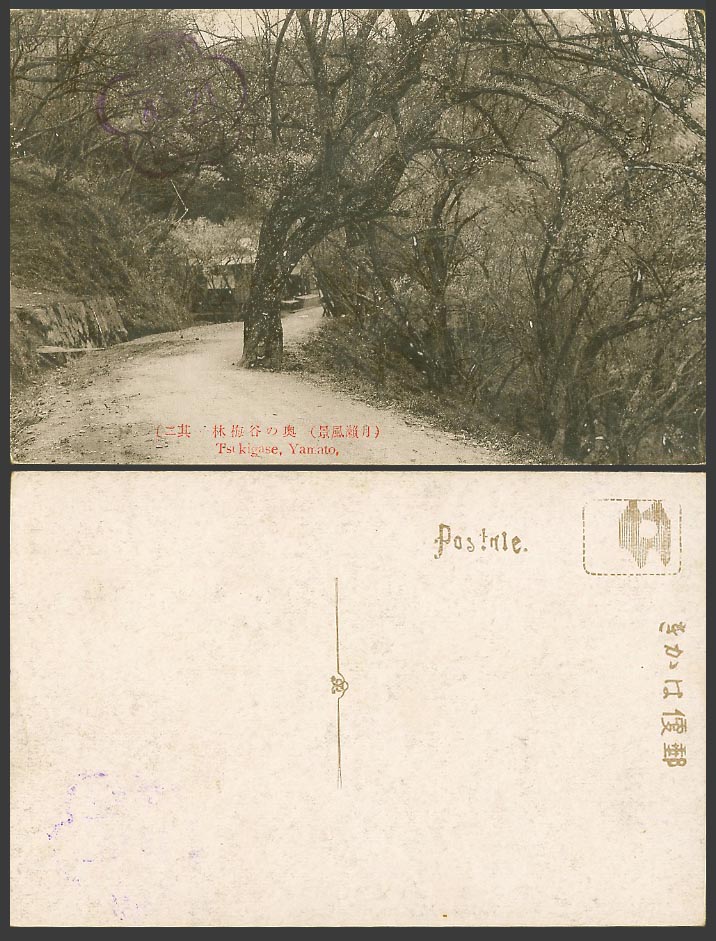 Japan Old Postcard Tsukigase Yamato Plum Trees Forest Street Scene 月瀨風景 奧之谷梅林 2.