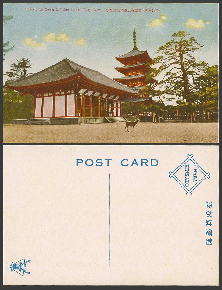 Japan Old Postcard 5 Storied Tower Tokindo Kofukuji Temple Nara Deer 奈良興福寺五重塔東金堂