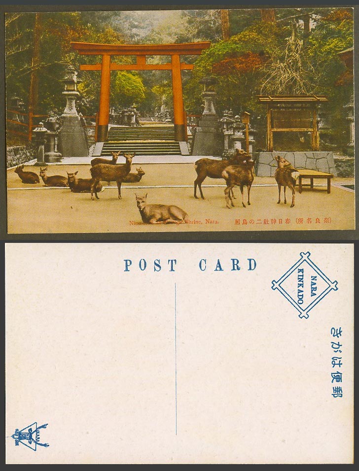Japan Old Colour Postcard Nine Torii Deer Kasuga Shrine Temple Nara 奈良 春日神社二鳥居 鹿