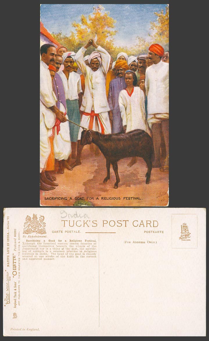 India Old Tuck's Oilette Postcard Sacrificing a Goat for a Religious Festival VI