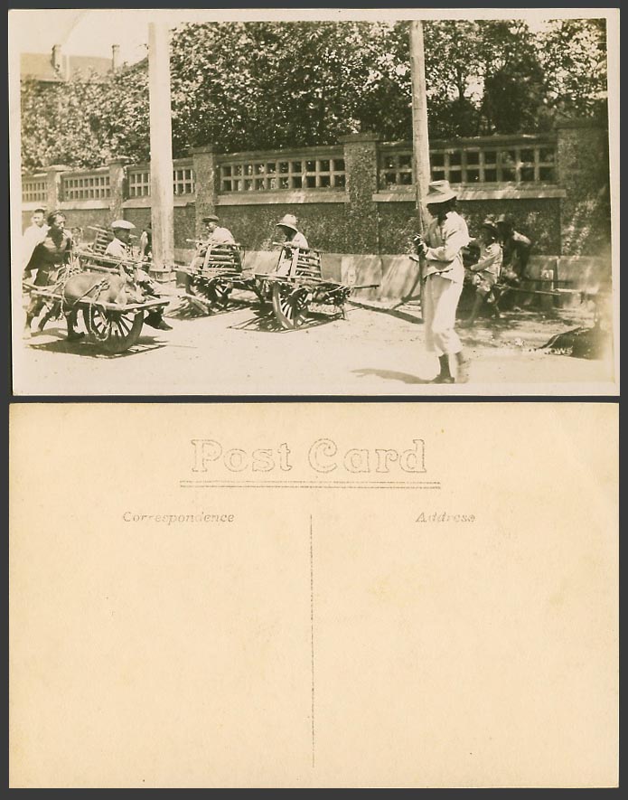 China Old Real Photo Postcard PIG, Chinese Men Wheelbarrow Wheel Barrow Shanghai