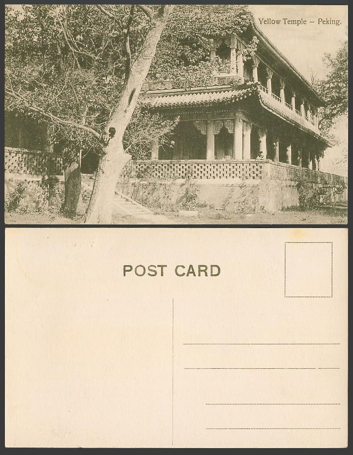 China Chinese Vintage Old Postcard Yellow Temple, Peking Pekin, Steps and Trees