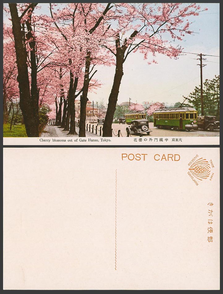 Japan Old Colour Postcard Cherry Blossoms, Gate Hanzo Tokyo, TRAM Tramway 半藏門外櫻花