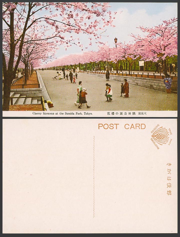Japan Old Colour Postcard Cherry Blossoms Sumida Park Tokyo Dog Puppy 大東京 隅田公園櫻花