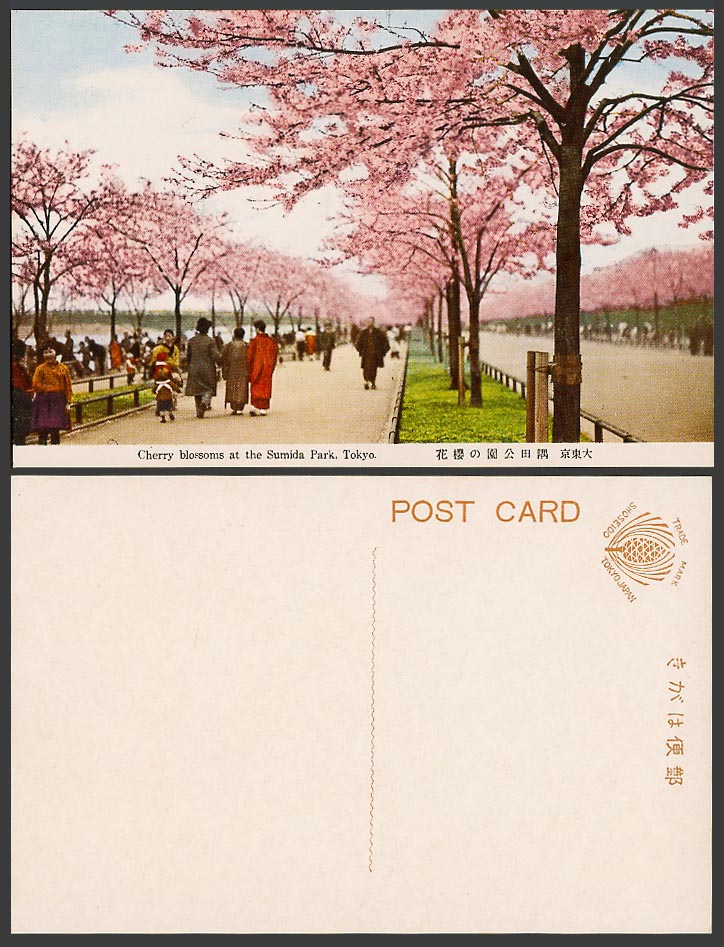 Japan Old Colour Postcard Cherry Blossoms at Sumida Park Tokyo Street 大東京 隅田公園櫻花