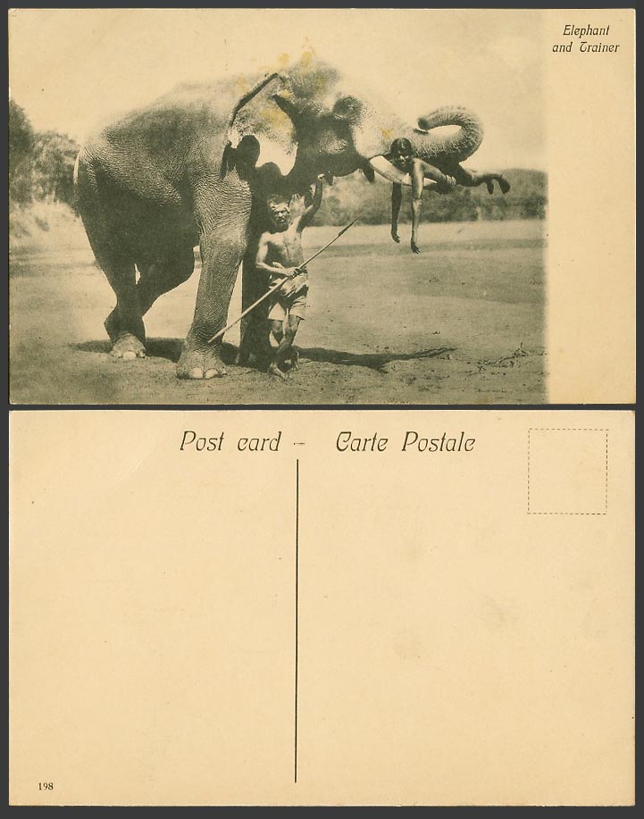 Ceylon Old Postcard Child Boy on Temple Elephant's Teeth, Native Trainer Man 198