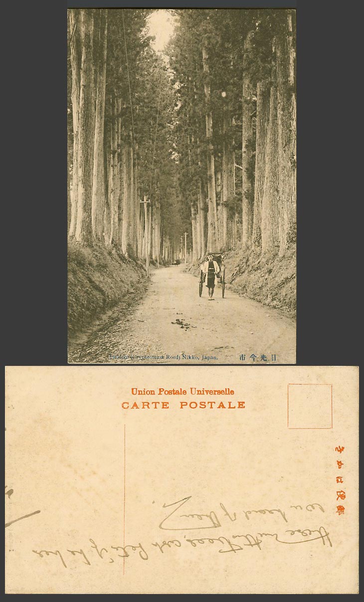 Japan Old Postcard Cryptomeria Road Cedar Avenue Nikko Rickshaw and Coolie 日光 今市
