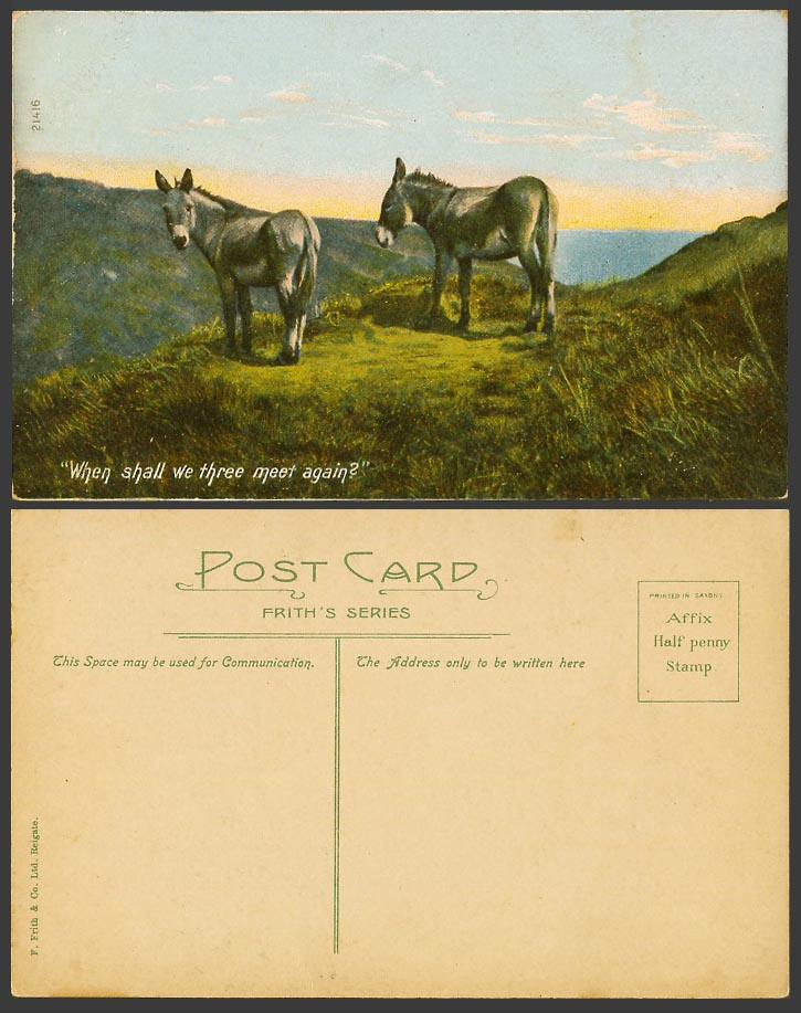 3 Donkeys, When Shall We Three Meet Again? Donkey, Mountains Old Colour Postcard