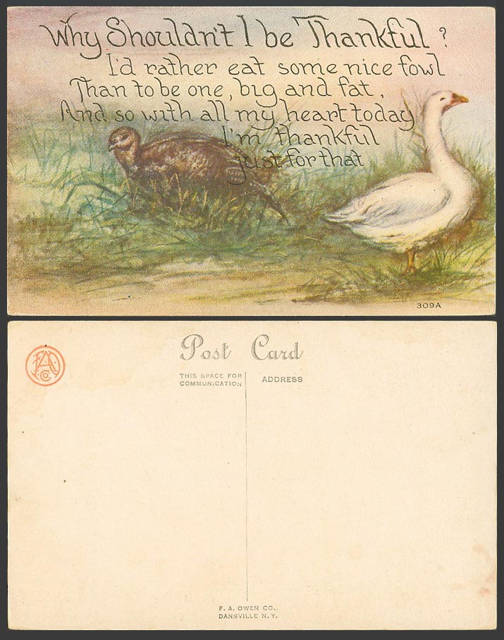 Birds Goose I'd rather eat some nice fowl than to be one, Thankful Old Postcard