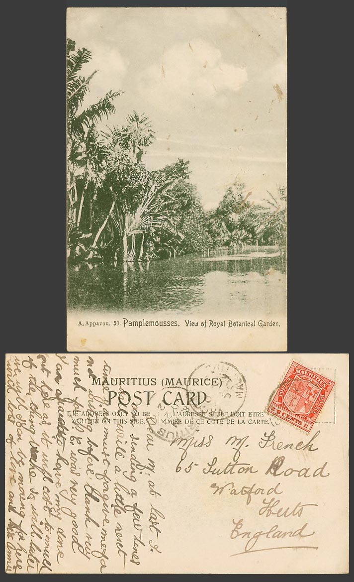 Mauritius 6c Arms 1912 Old Postcard PAMPLEMOUSSES View of Royal Botanical Garden