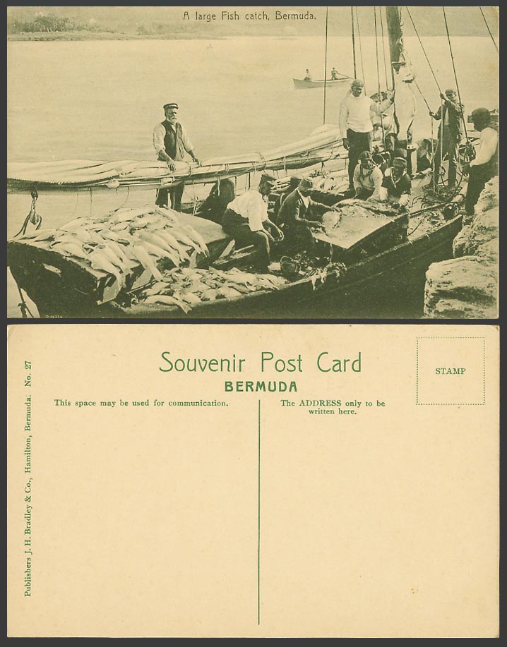 Bermuda Old Postcard A Large Fish Catch - Fishing Boat Boats, Fishermen, Fishery