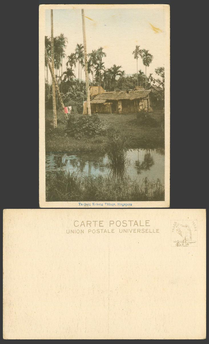 Singapore Old Hand Tinted Postcard Tanjong Katong Village Native House Hut Palms