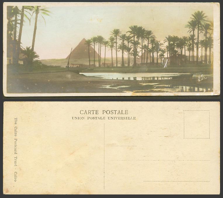 Egypt Old Real Photo Color Postcard Cairo Pyramid Giza Palm Trees Bookmark Style