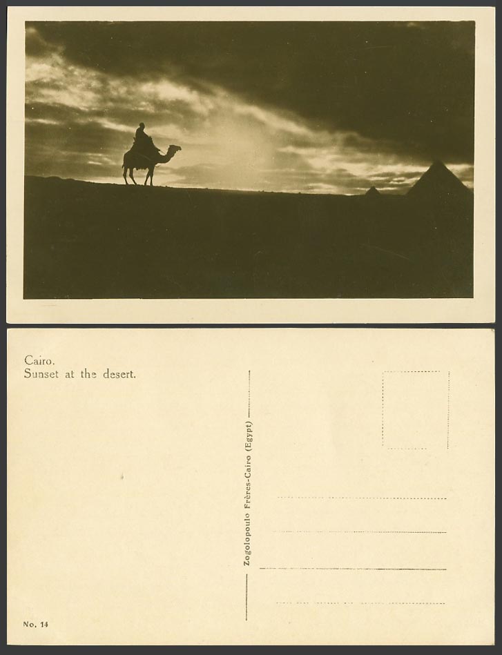 Egypt Old Real Photo Postcard Cairo Sunset at the Desert Camel Rider Pyramids 14