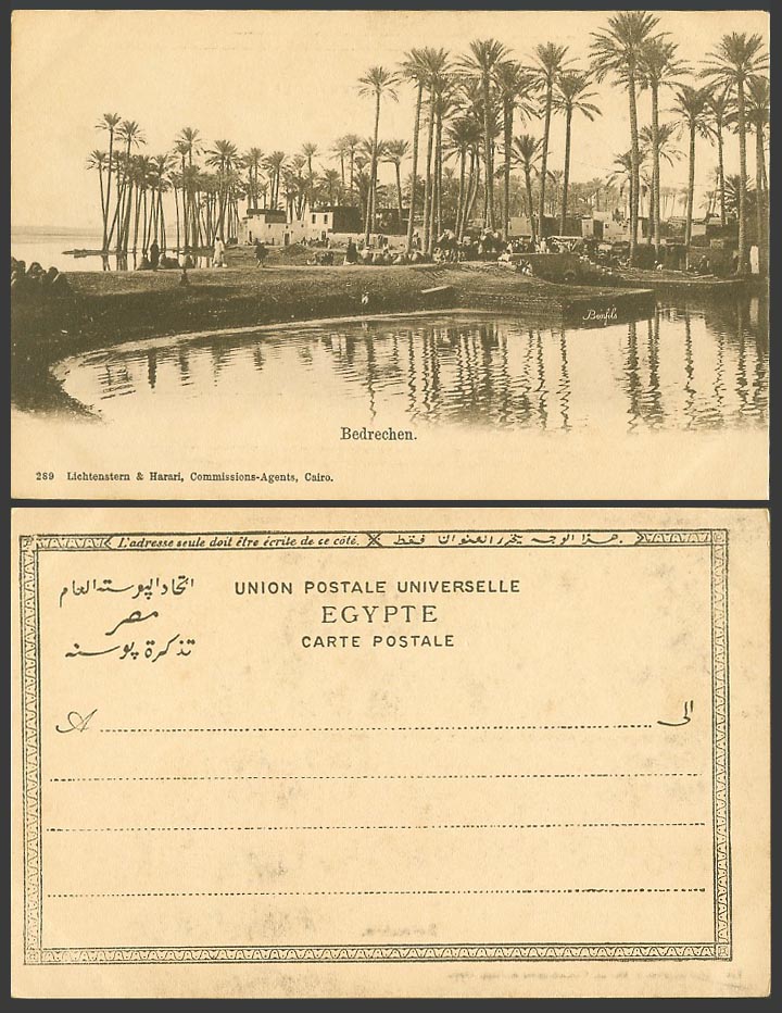 Egypt Old UB Postcard Cairo, Bedrechen, Arab Village Scene Palm Trees Camels 289