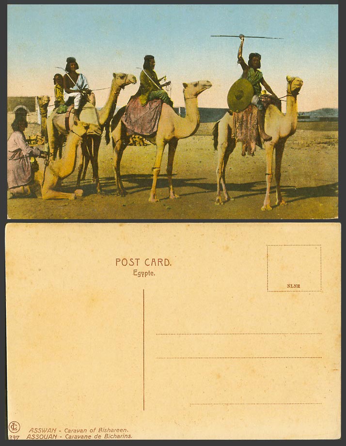 Egypt Old Postcard Assuan Assouan Aswan Caravan of Bishareen, Caravane Bisharins