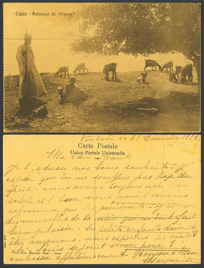 Egypt 1920 Old Postcard Cairo Shepherd Goatherd Sheep Goat Grazing by Nile River