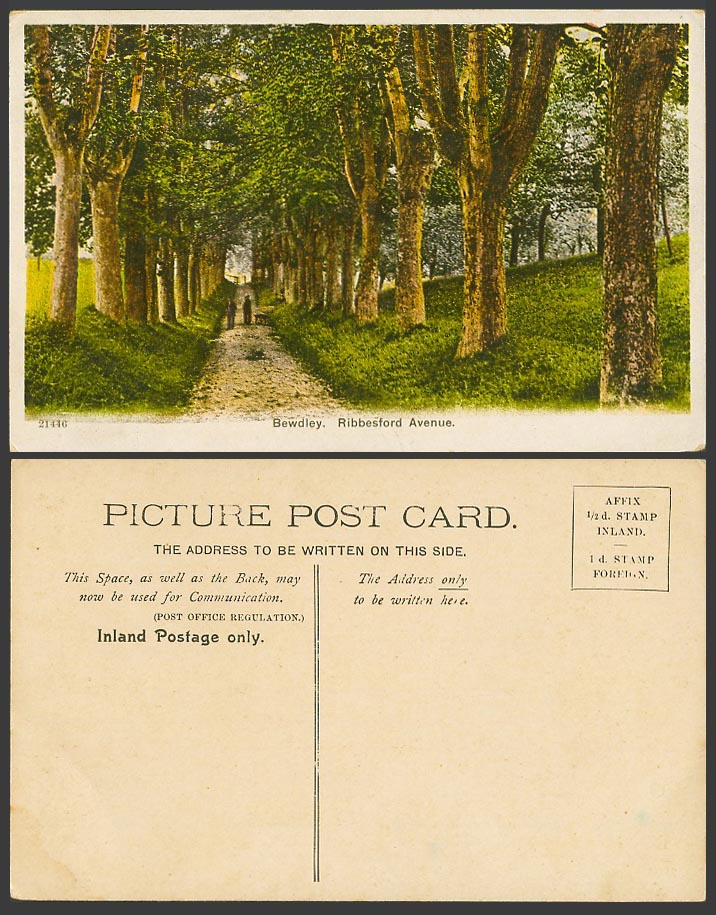 Bewdley Ribbesford Avenue, Tree-lined, Trees, Worcestershire Old Colour Postcard