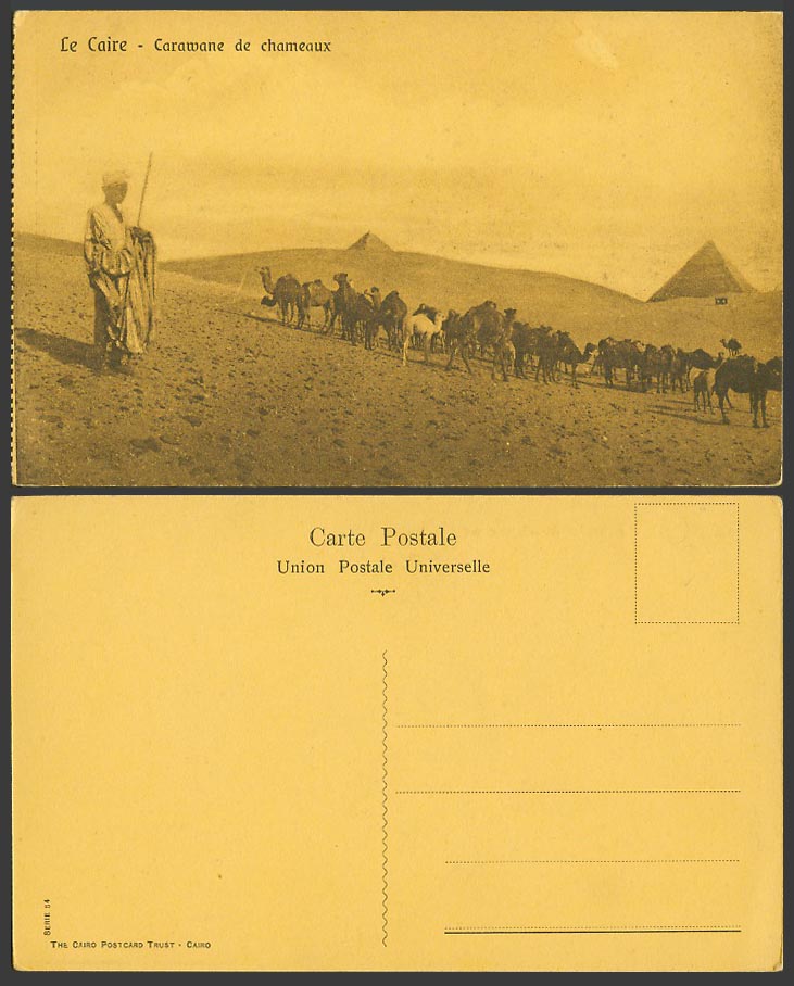 Egypt Old Postcard Cairo Camels Camel Caravan Pyramids Desert Sand Dunes, Caire