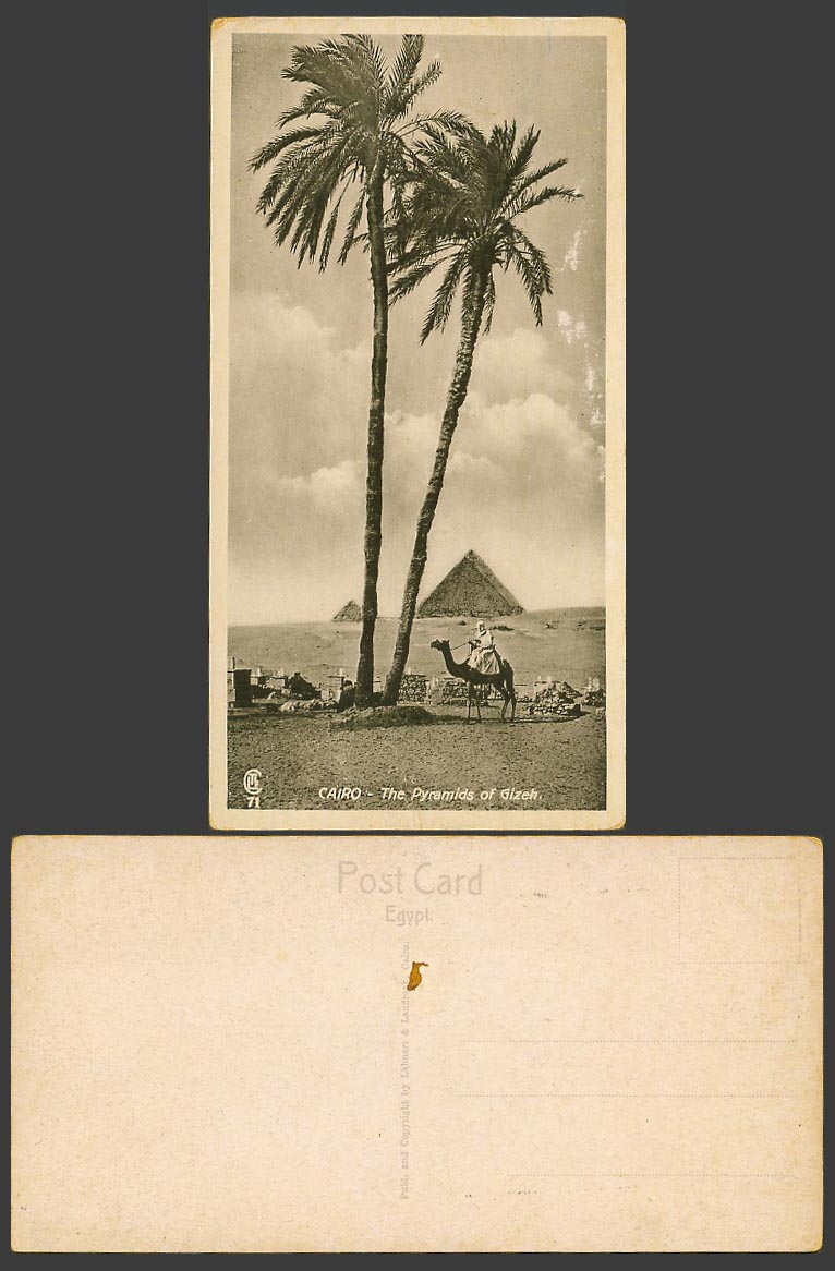 Egypt Old Postcard Cairo Pyramids of Gizeh Giza Palm Trees Camel Rider, Bookmark