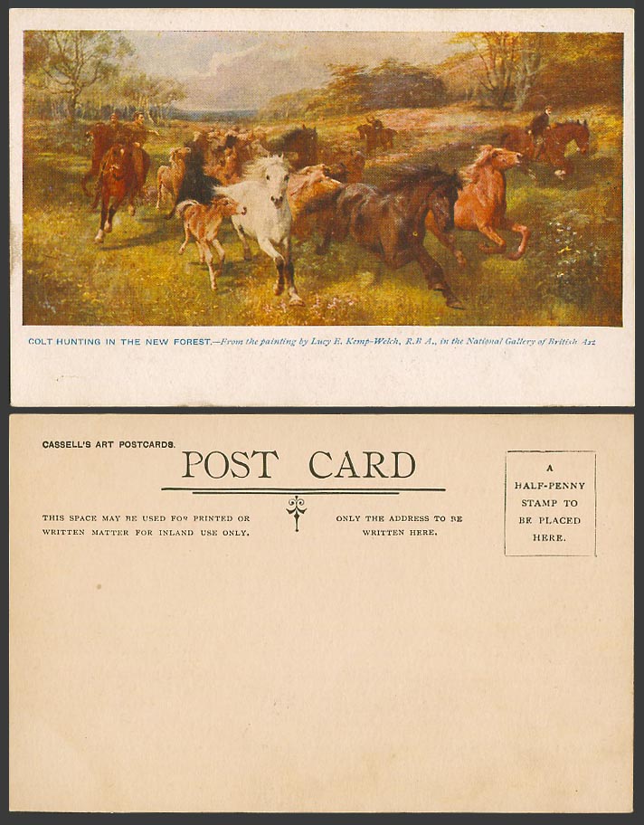 Horses Ponies Galloping, Colt Hunting New Forest Lucy E. Kemp-Welch Old Postcard