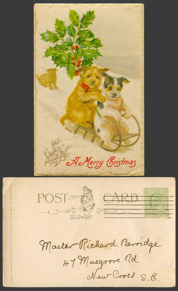 Dogs Puppies on Sled Sledge, Sledding, A Merry Christmas Xmas 1909 Old Postcard